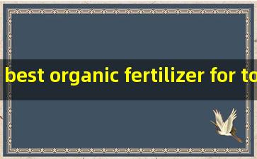 best organic fertilizer for tomato plants factories